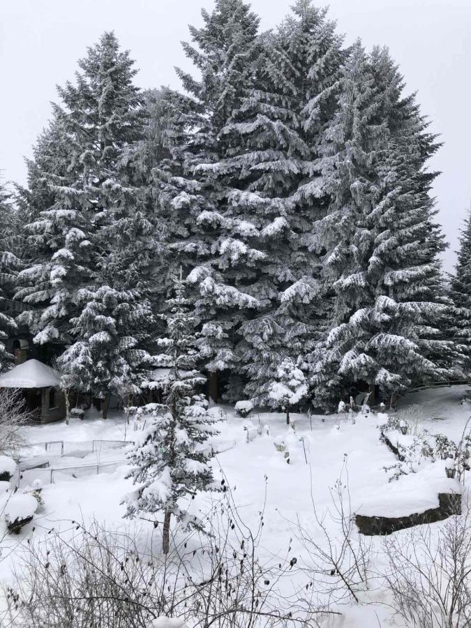 Апартаменти Олівія Skhidnytsia Luaran gambar