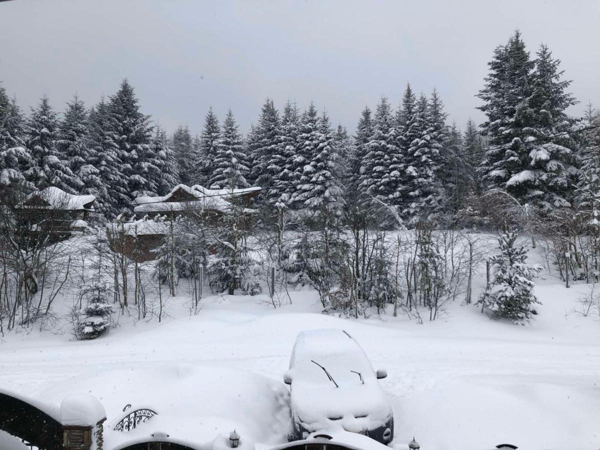 Апартаменти Олівія Skhidnytsia Luaran gambar