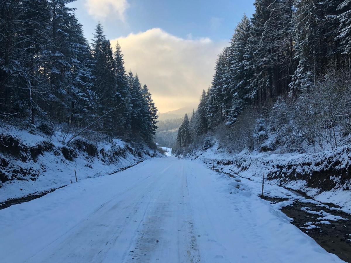 Апартаменти Олівія Skhidnytsia Luaran gambar